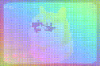 You're Surrounded by Love (The Doge Song)